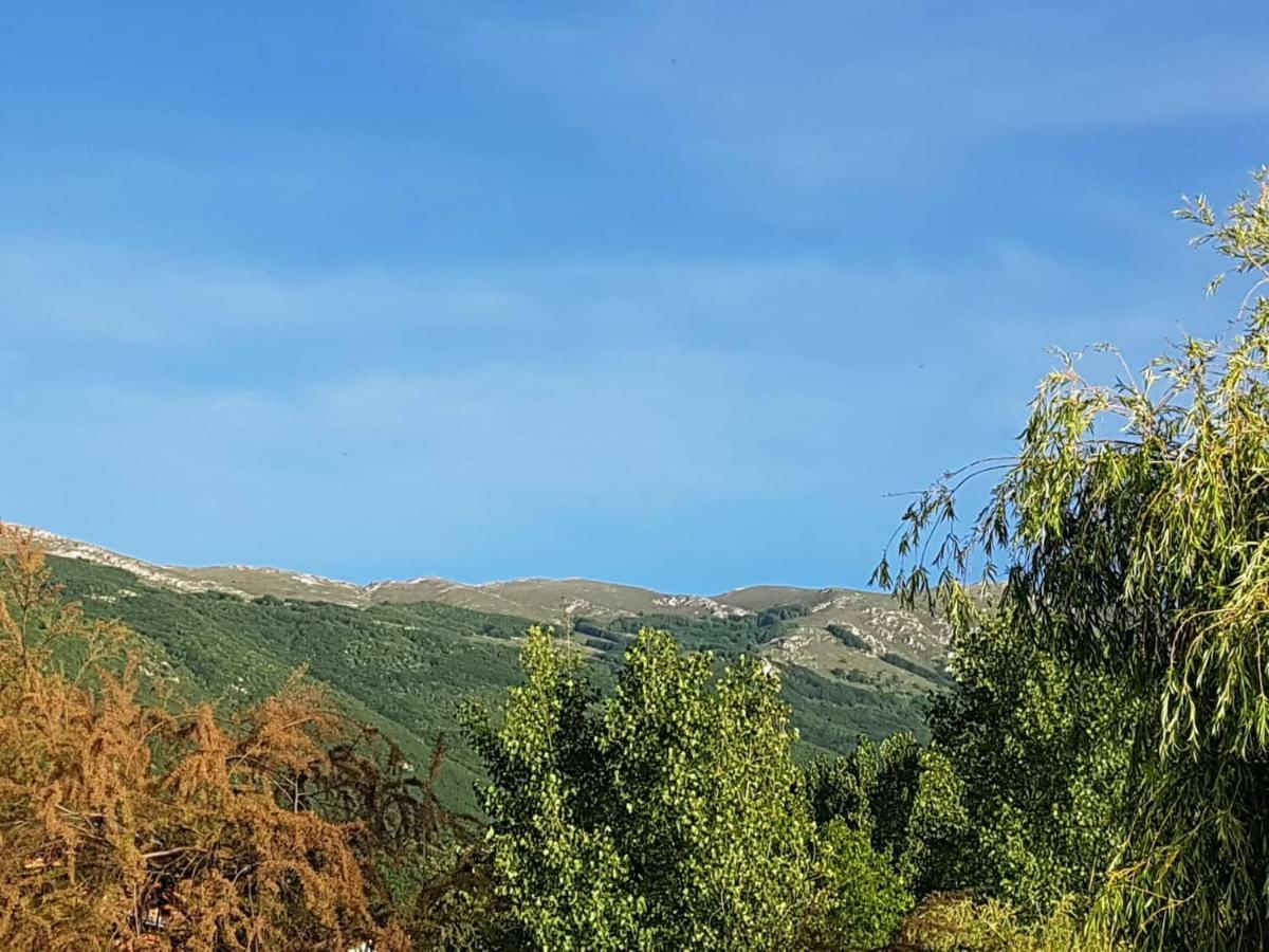 Et Larum Peštani المظهر الخارجي الصورة