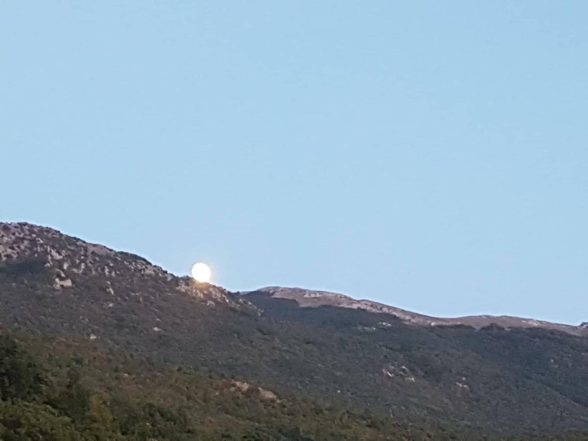 Et Larum Peštani المظهر الخارجي الصورة